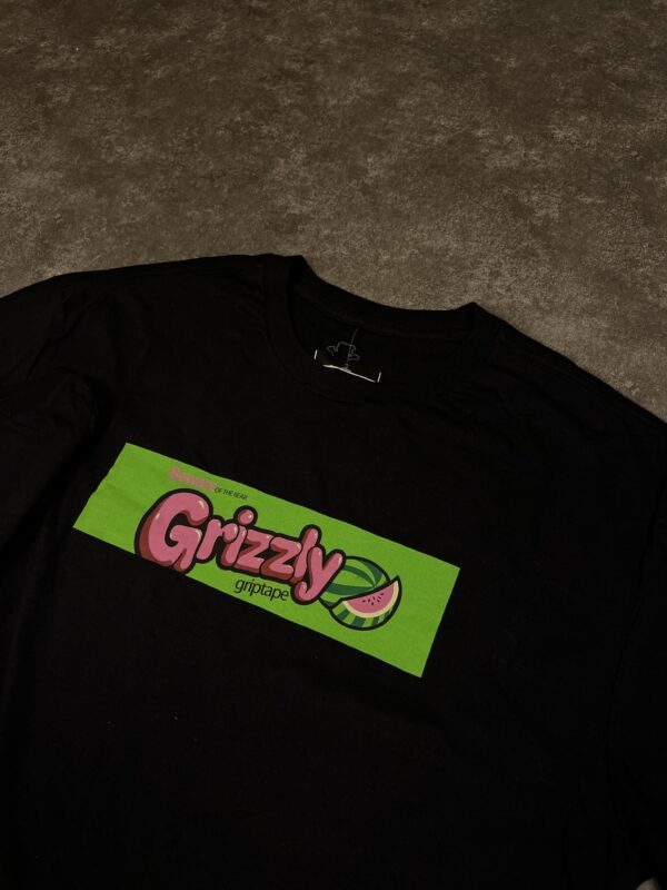 Camiseta GRIZZLY ORIGINAL - Imagem 2
